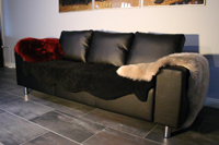 Lampaantaljat, Shepherd