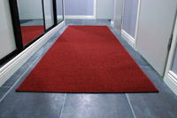 Punainen polyamidimatto, ELSE