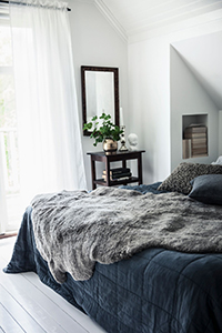 Harmaa lampaantalja, Shepherd