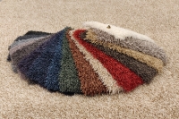  Värikkäät nukkamatot, ELSE